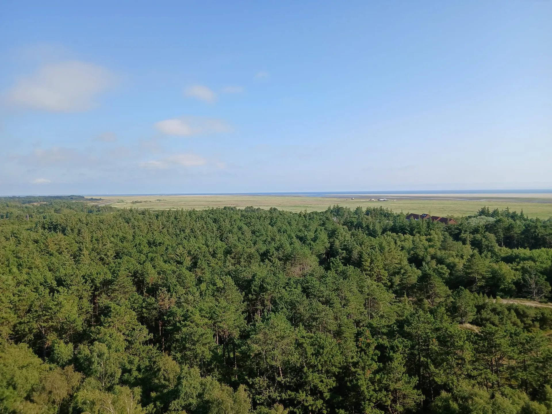 Aussicht auf Salzwiesen